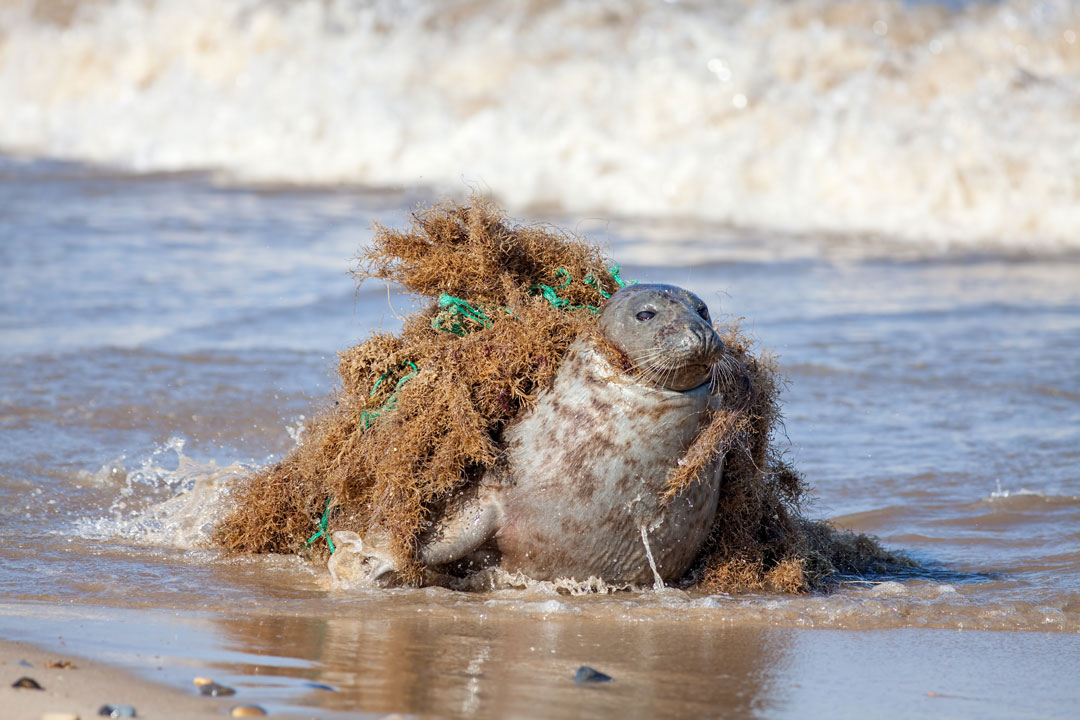 samy wildlife keeper ong nos missions benevolat pollution plastique mer mediterranee